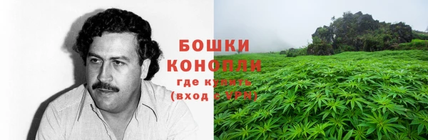 СК Пересвет