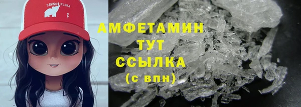 СК Пересвет