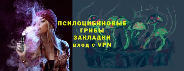 гидра Переславль-Залесский