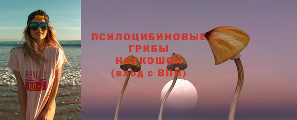 ешки Грязи