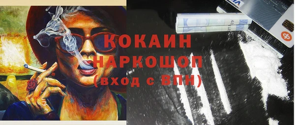 СК Пересвет