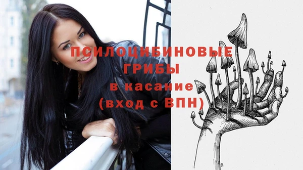 СК Пересвет