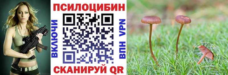 Галлюциногенные грибы Psilocybine cubensis  shop состав  Боготол 